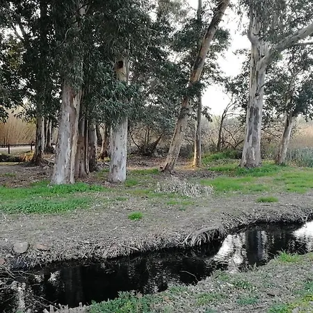 Quetzal Turisme Rural A Tortosa, Terres De L Ebre *